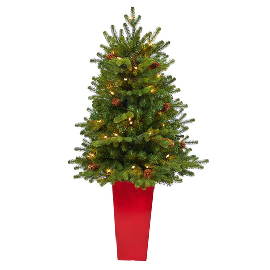 3.5 ft Yukon Mountain Fir Christmas tree with 50 clear lights and pine cones in red planter on Tampa Home & Garden Store