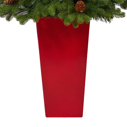 3.5 ft Yukon Mountain Fir Christmas tree in red planter with pine cones and 50 lights on Tampa Home & Garden Store