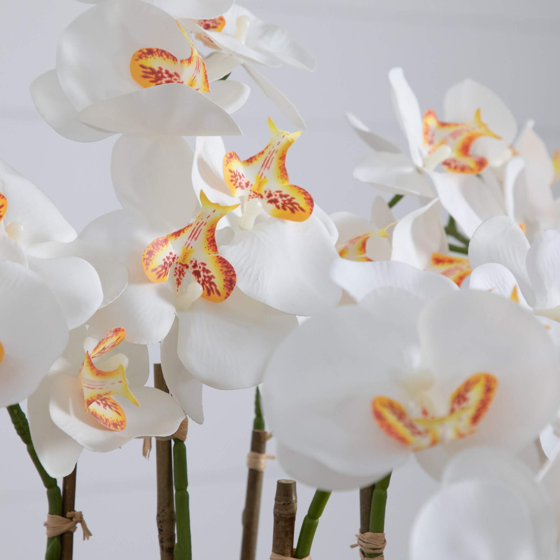36in artificial orchid arrangement with white petals and orange-yellow centers on stems on Tampa Home & Garden Store