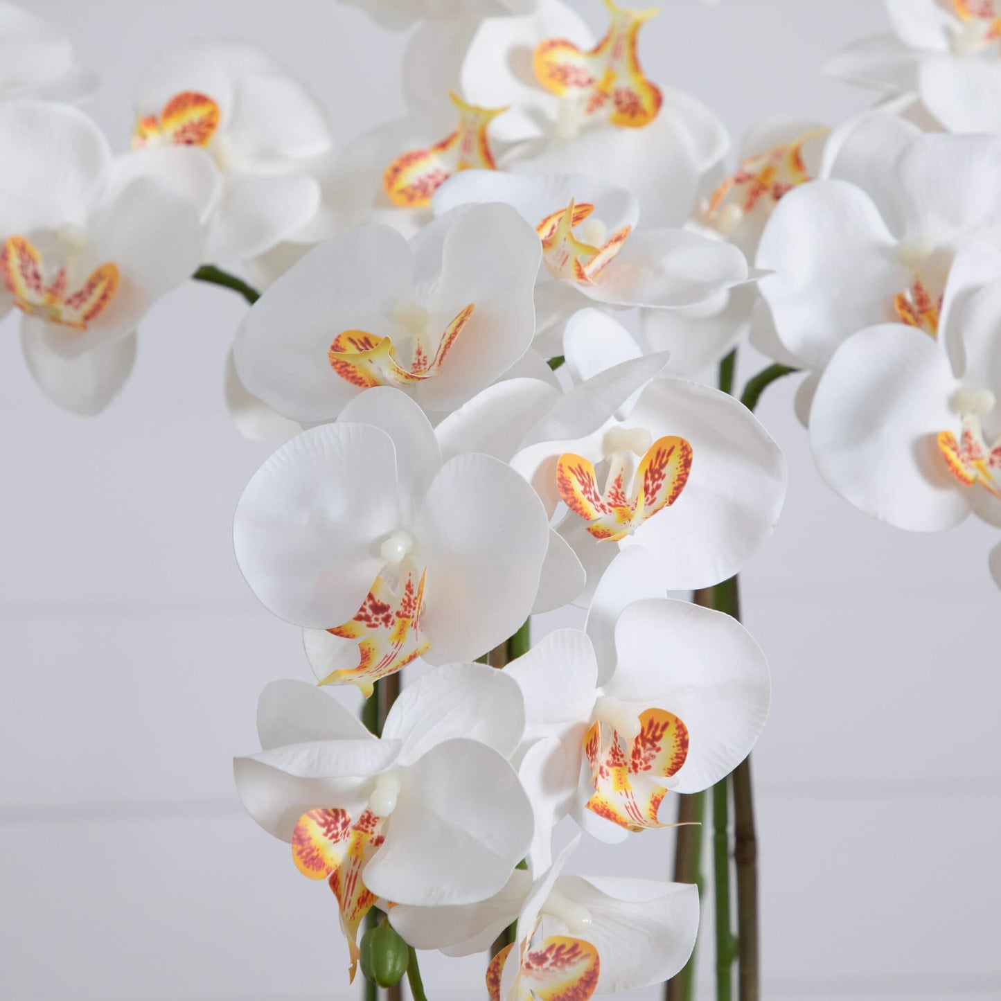 36 inch artificial orchid arrangement with white blooms and orange center accents on Tampa Home & Garden Store