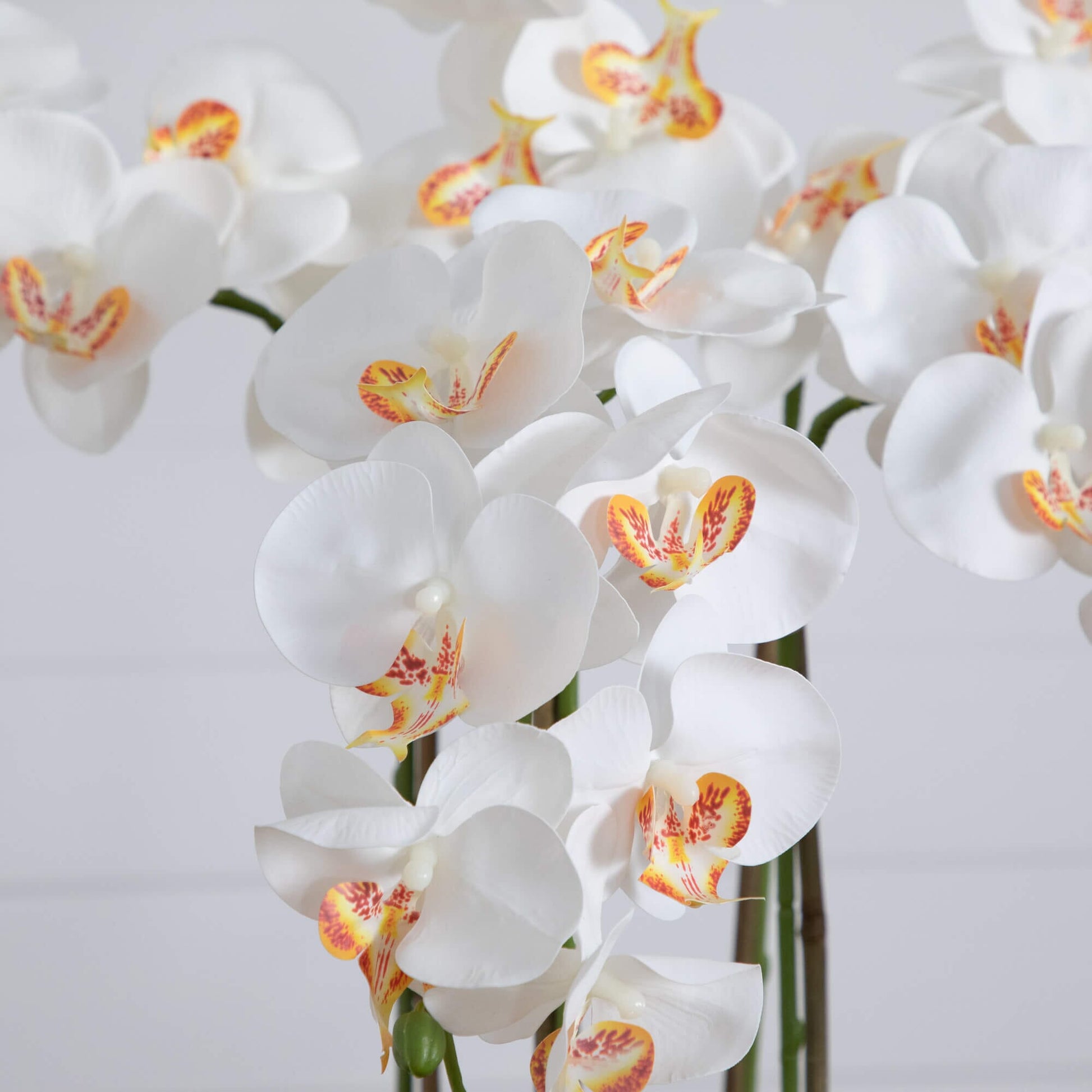36 inch artificial orchid arrangement with white blooms and orange center accents on Tampa Home & Garden Store