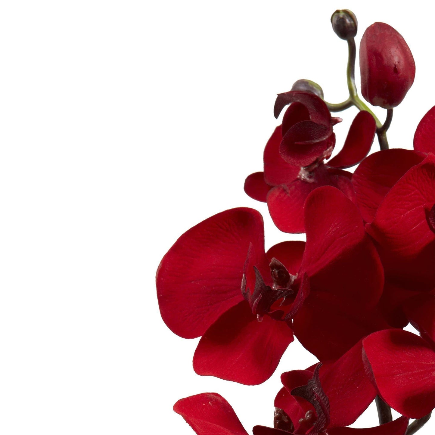 Nearly Natural 36-inch Christmas Phalaenopsis orchid stem set of 4 with vivid red petals on Tampa Home & Garden Store