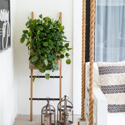 Planta Colgante Artificial de Pothos Resistente a los Rayos UV de 91 cm (Interior/Exterior) - Juego de 2