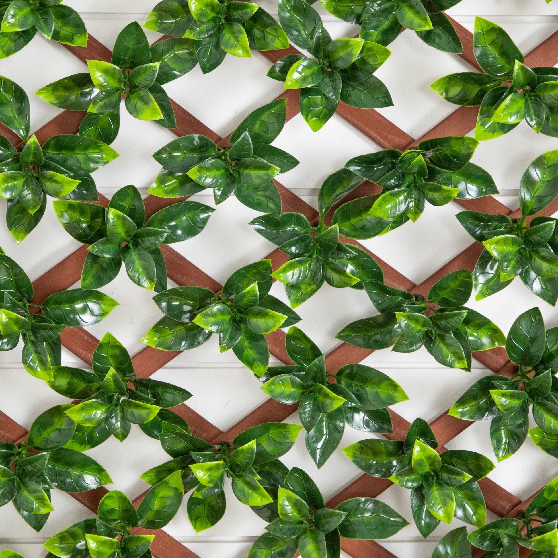 Gardenia privacy fence screen 36x72 UV-resistant artificial by Nearly Natural on lattice on Tampa Home & Garden Store
