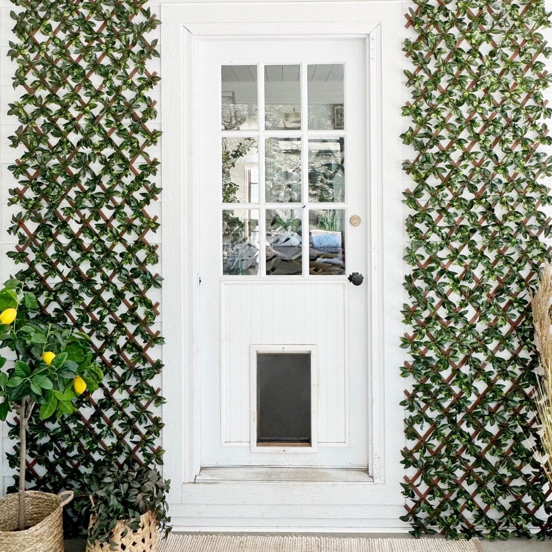 36x72 UV resistant artificial gardenia expandable privacy fence screen Nearly Natural flanks door on Tampa Home & Garden Store
