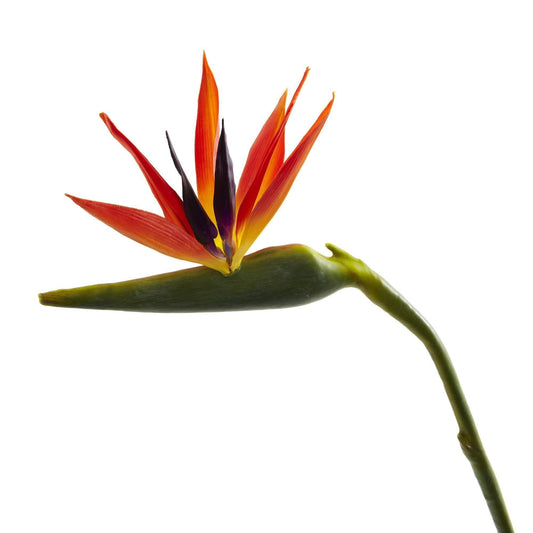 Bird of Paradise artificial flower stems set of 4, Nearly Natural, 38-inch orange purple blooms with green stems on Tampa Home & Garden Store