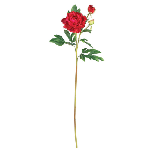 38.5" Peony w/Leaves Stem (Set of 12)" - Tampa Home & Garden Store