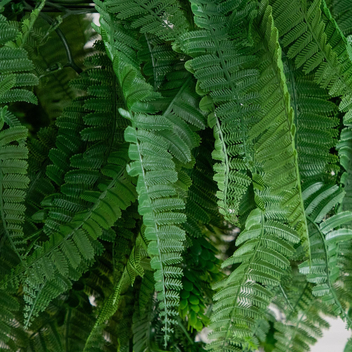 39in UV resistant artificial mixed ferns hanging plant, indoor/outdoor, Nearly Natural on Tampa Home & Garden Store