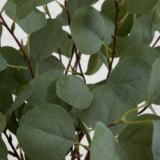 4’ Artificial Eucalyptus Tree - Tampa Home & Garden Store
