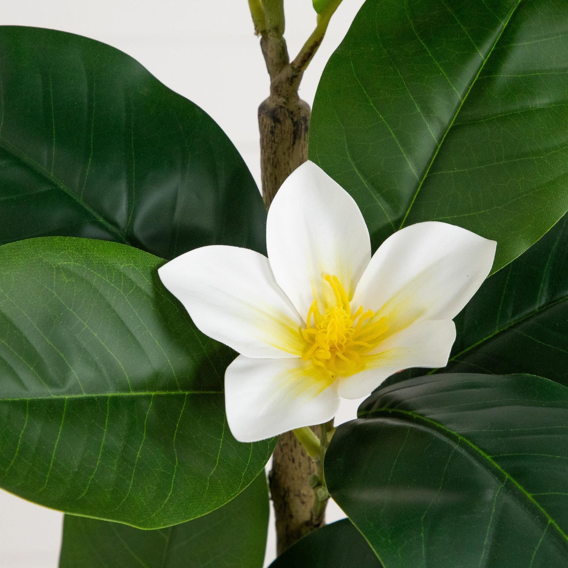 4 ft artificial minimalist magnolia tree in planter with white bloom and green leaves on Tampa Home & Garden Store