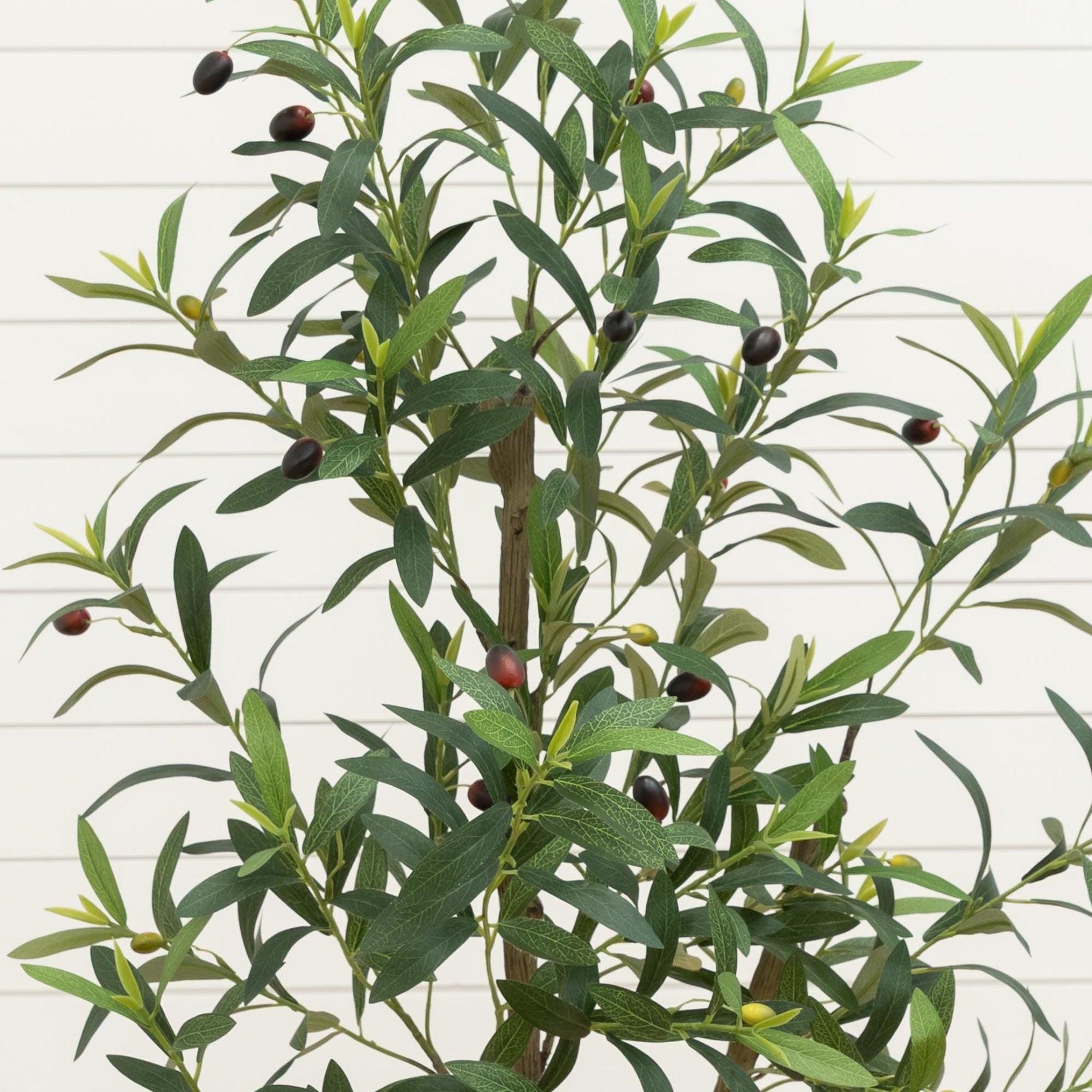 4’ artificial olive tree in white decorative planter with dark olives and slender green leaves on Tampa Home & Garden Store