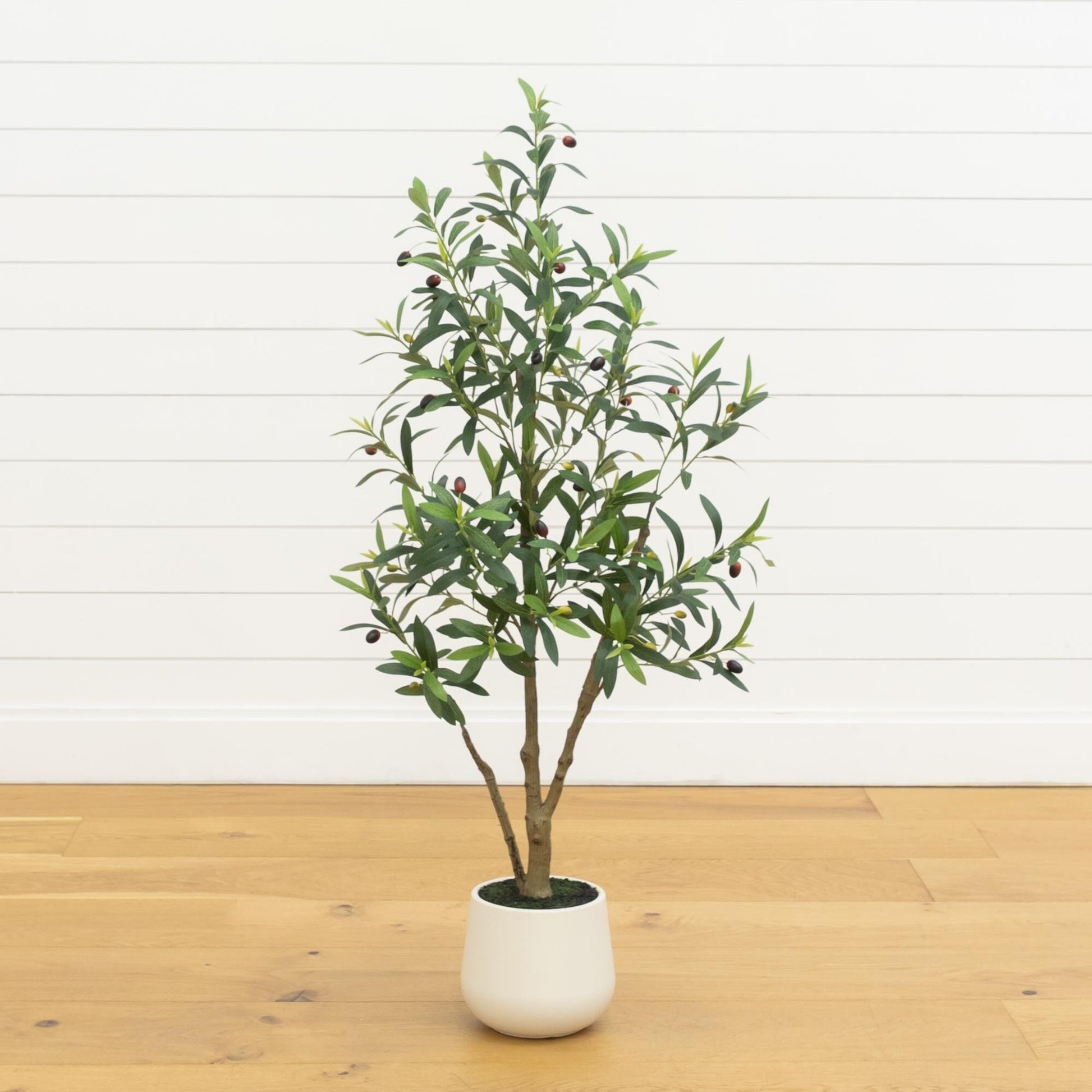 4 ft artificial olive tree in white decorative planter by Nearly Natural on Tampa Home & Garden Store