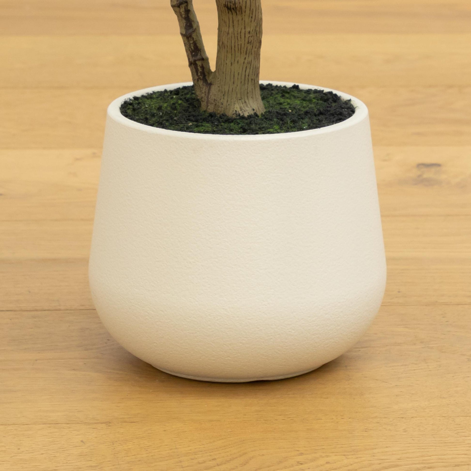 4 ft artificial olive tree in a white planter with green moss soil by Nearly Natural on Tampa Home & Garden Store