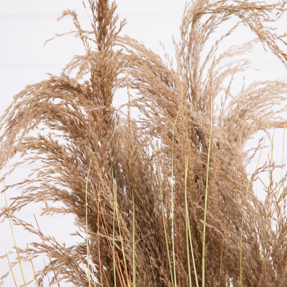 4 Foot Artificial Pampas Grass And Indoor Decor