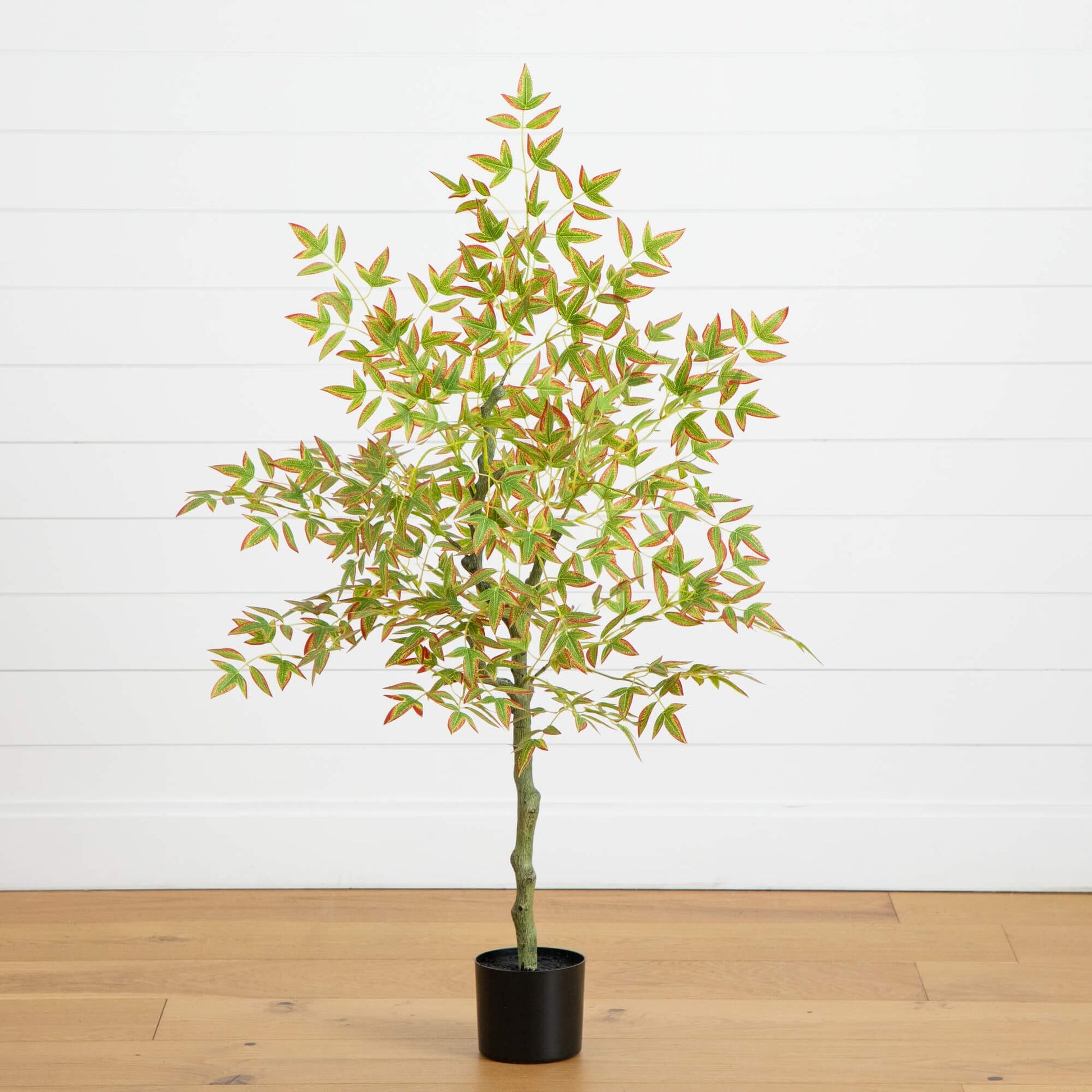 4' Autumn Nandina Artificial Fall Tree green leaves with red-orange edges in black pot on Tampa Home & Garden Store