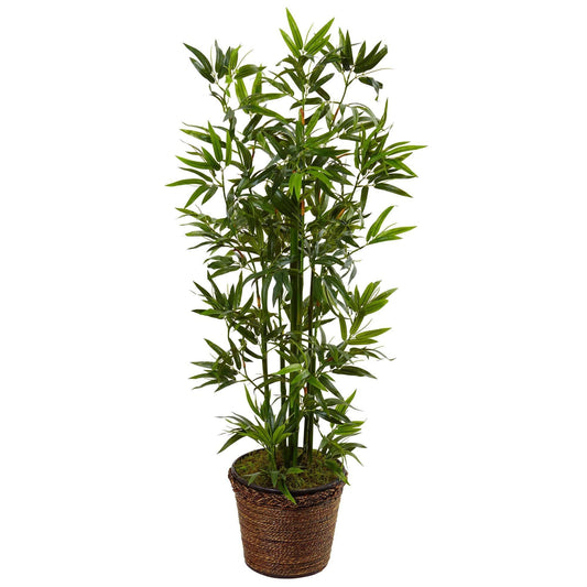 4’ Bamboo Tree in Coiled Rope Planter - Tampa Home & Garden Store