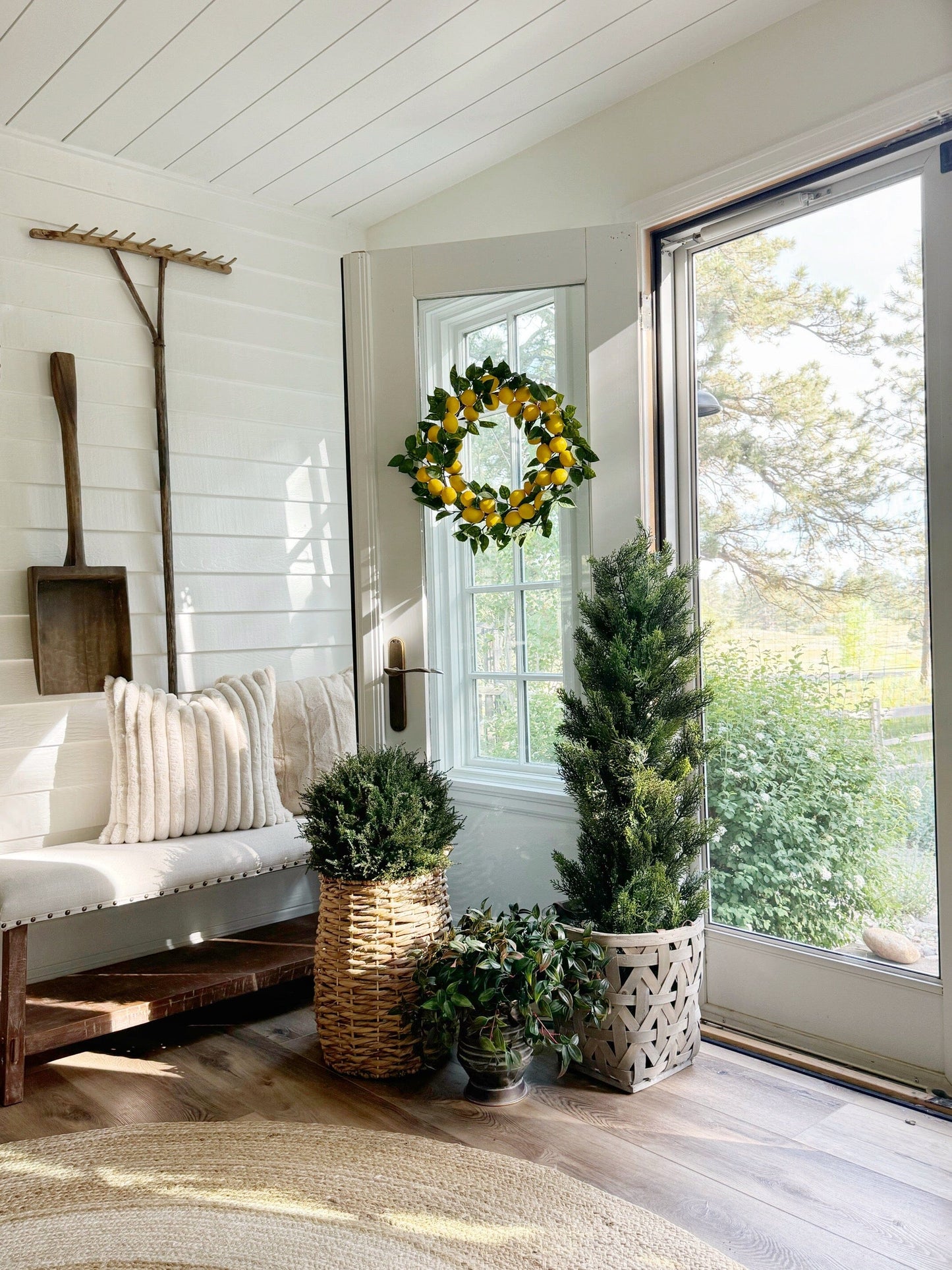 Árbol de cedro de seda de 4' (interior/exterior)