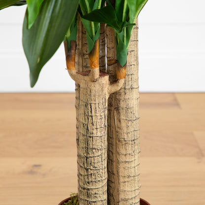 Dracaena Silk Plant 4 Ft Real Touch