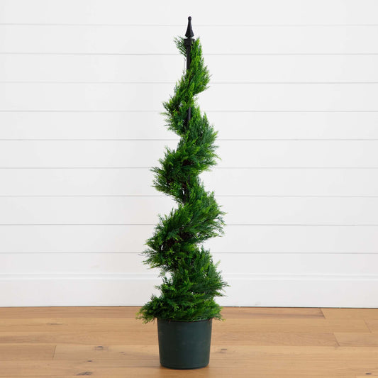 4' Cypress Spirial Silk Tree - Tampa Home & Garden Store