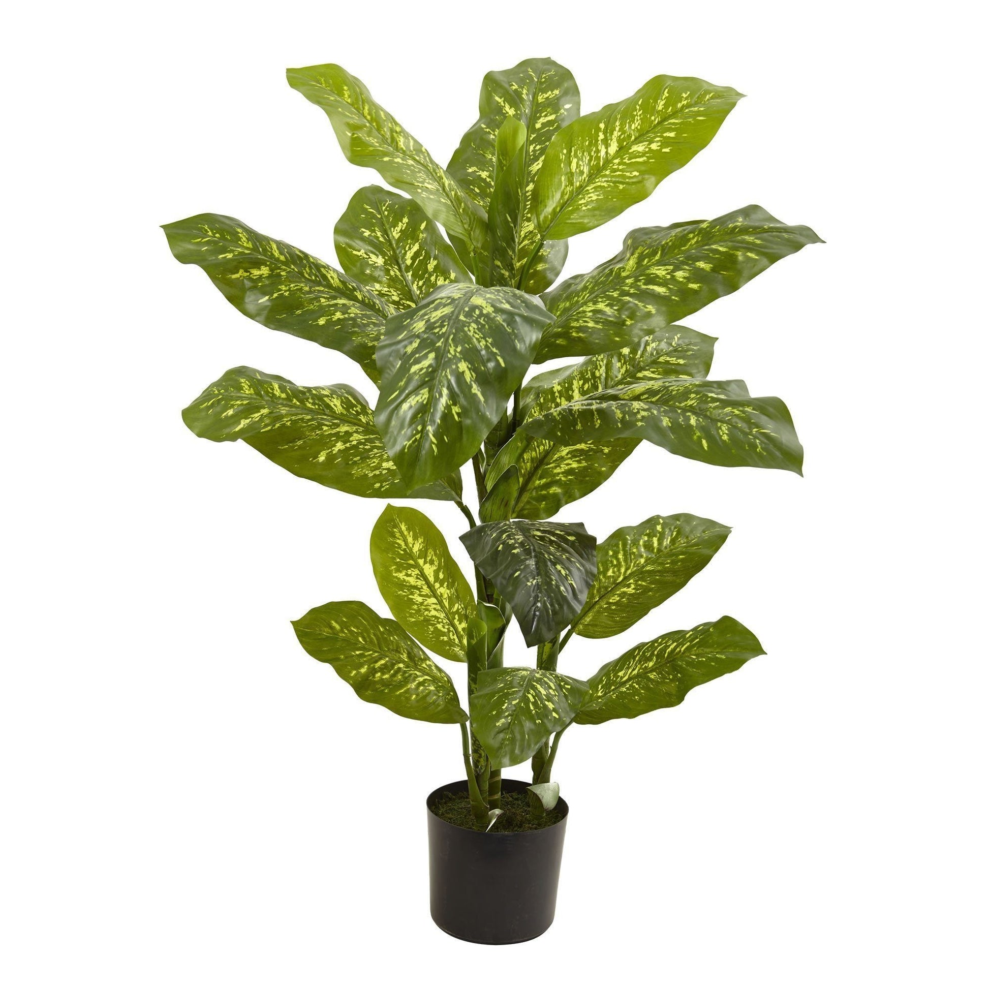 4 ft Dieffenbachia artificial plant by Nearly Natural with variegated leaves in pot on Tampa Home & Garden Store