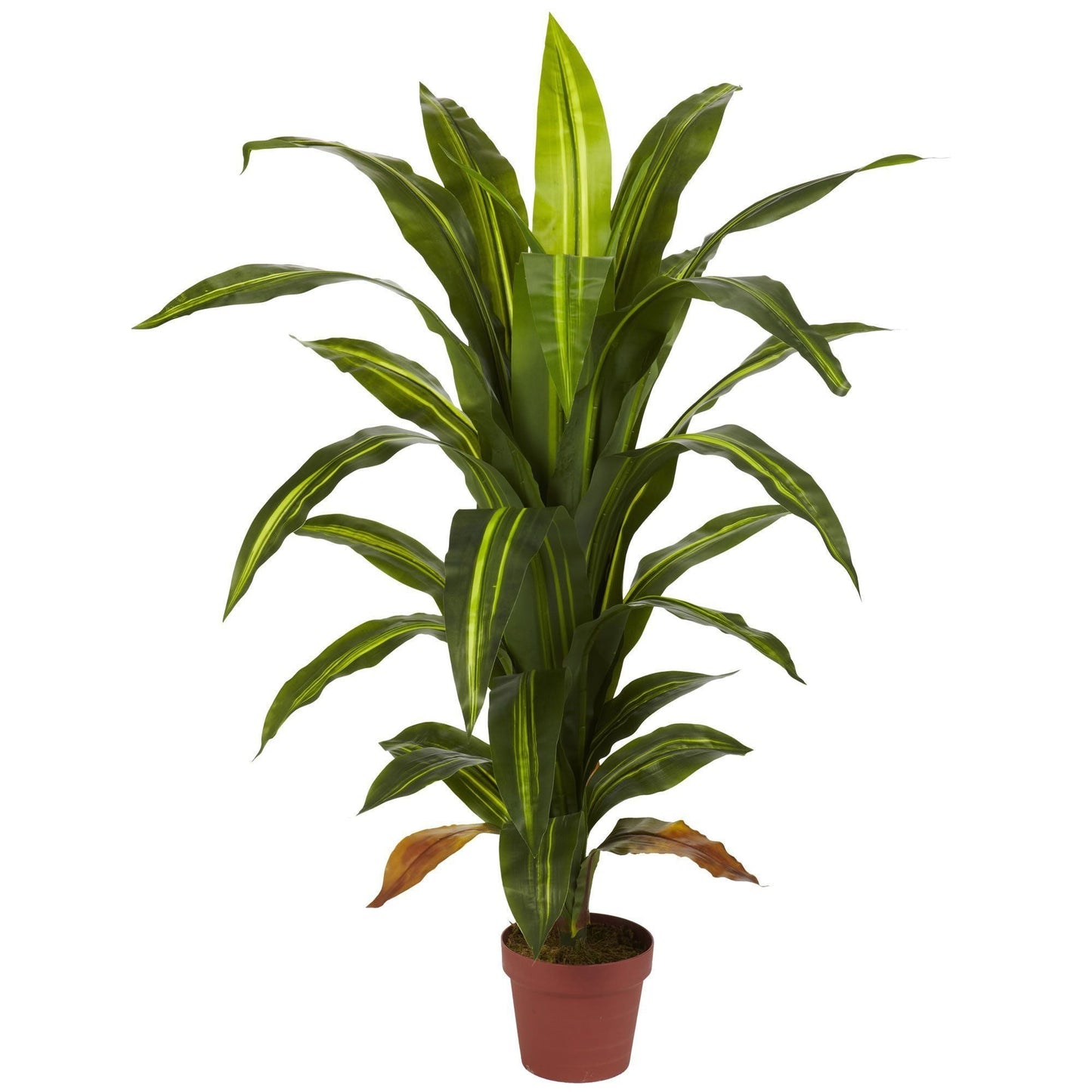 4' Dracaena Silk Plant Real Touch by Nearly Natural in terracotta pot on Tampa Home & Garden Store