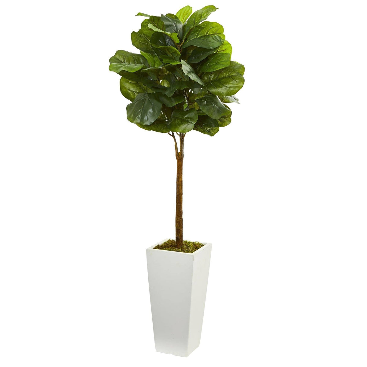 4 ft fiddle leaf artificial tree in white tower planter by Nearly Natural on Tampa Home & Garden Store