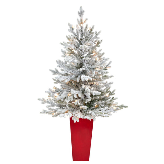 4 ft flocked Fraser Fir Christmas Tree with 200 warm white lights in red planter on Tampa Home & Garden Store
