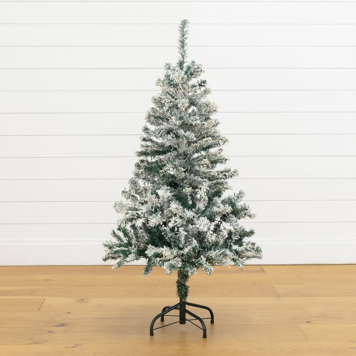 4' flocked Rock Springs spruce artificial Christmas tree with 100 clear LED lights snow-dusted on Tampa Home & Garden Store