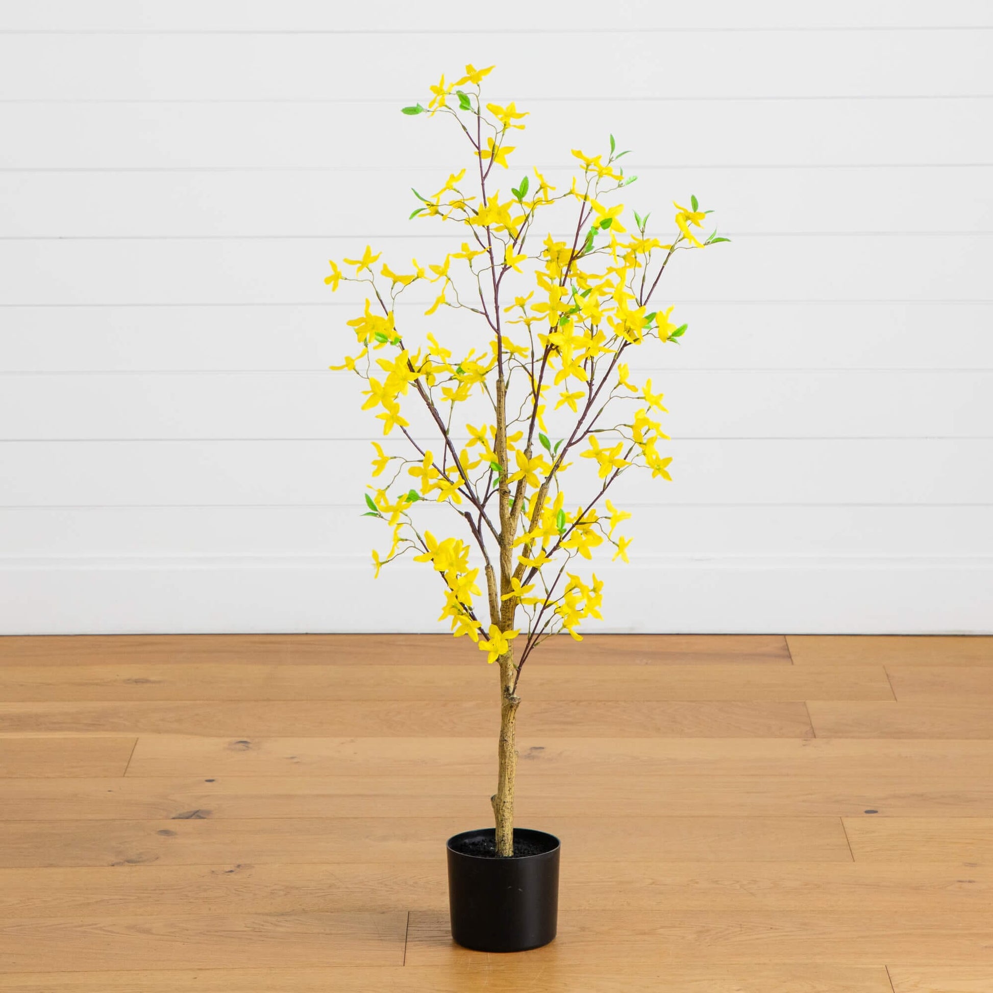 4' Artificial Forsythia Tree by Nearly Natural, yellow blooms on brown stems in a black pot on Tampa Home & Garden Store