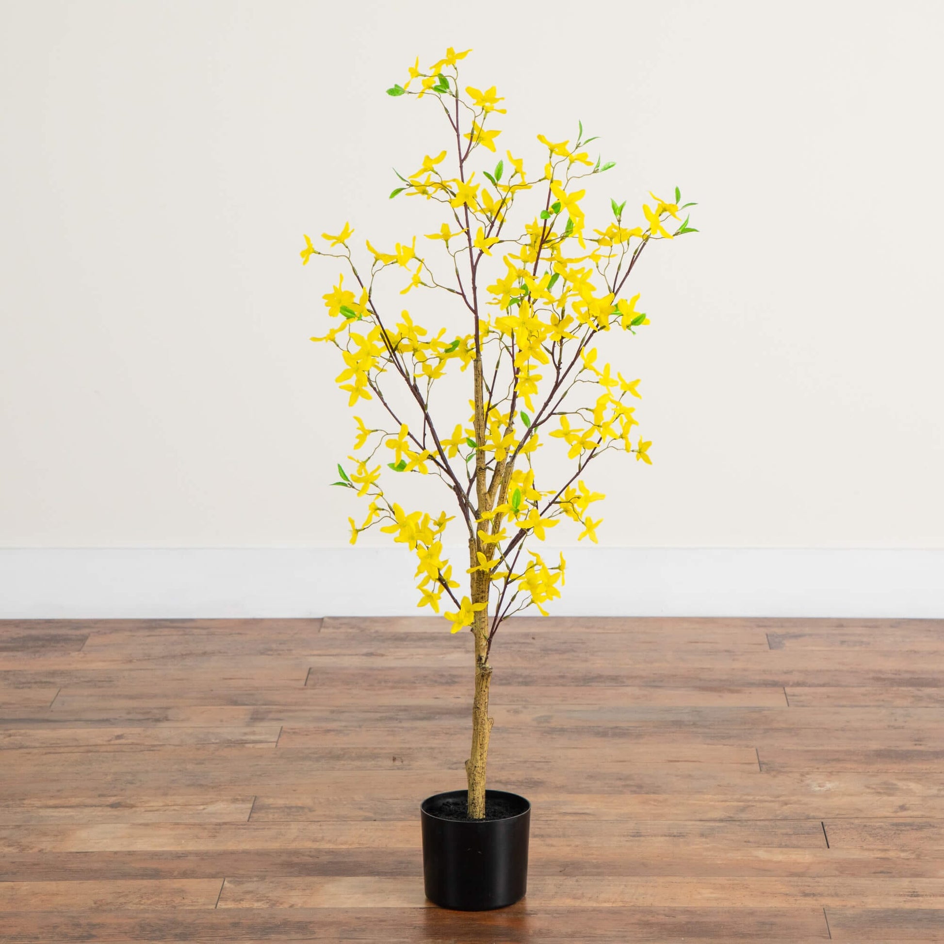 4' Artificial Forsythia Tree with yellow blossoms on brown branches in a black pot on Tampa Home & Garden Store
