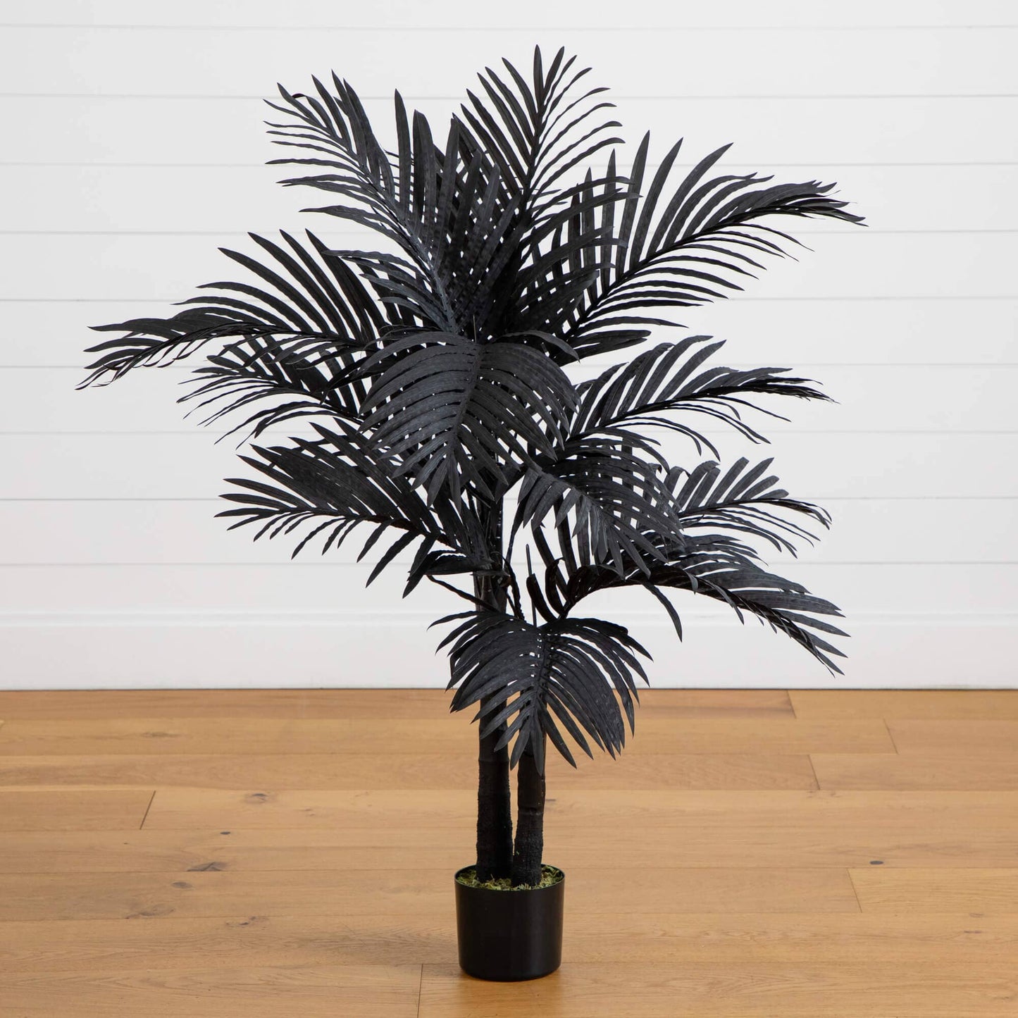4' Artificial Halloween Black Golden Cane Tree Nearly Natural in black pot on Tampa Home & Garden Store