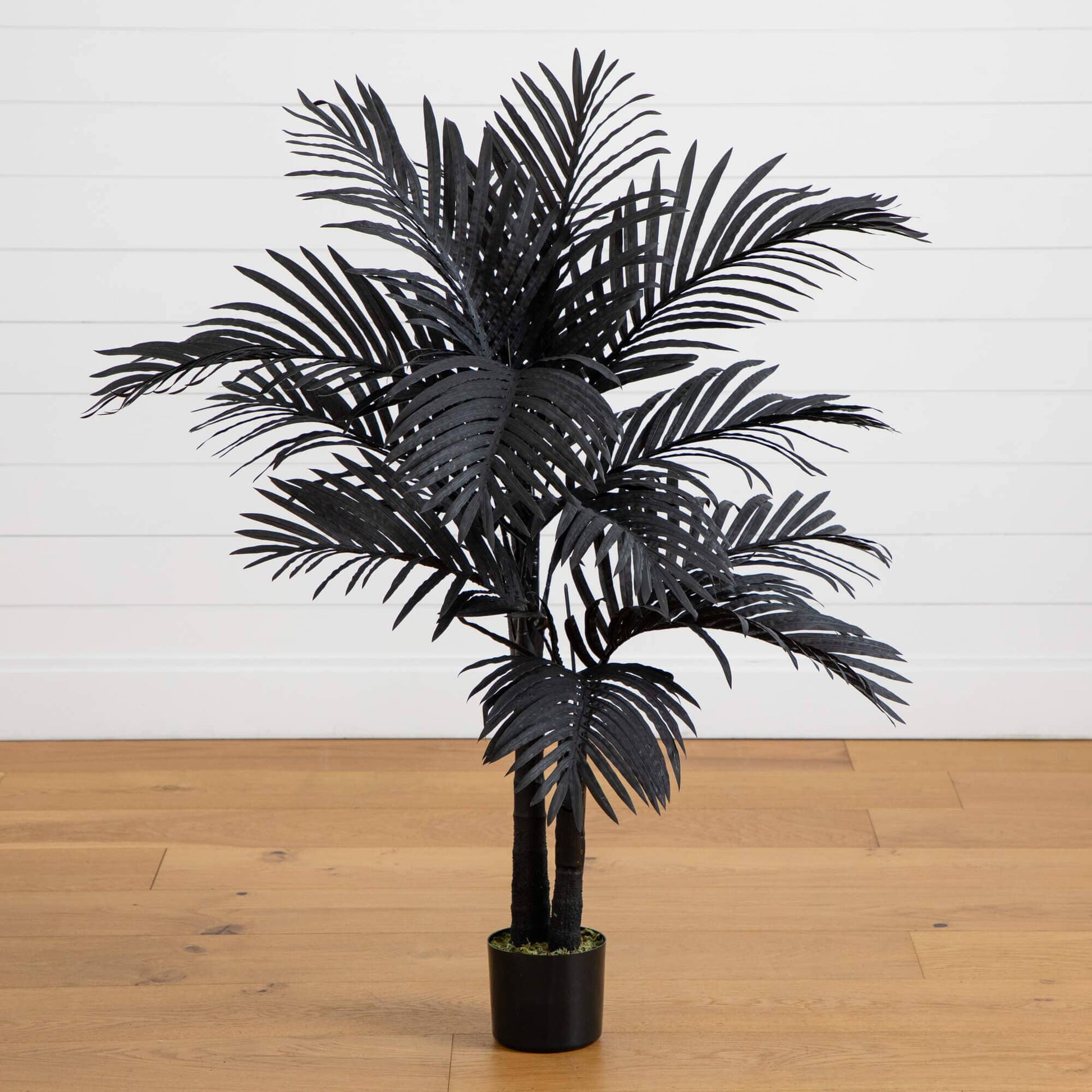 4' Artificial Halloween Black Golden Cane Tree Nearly Natural in black pot on Tampa Home & Garden Store