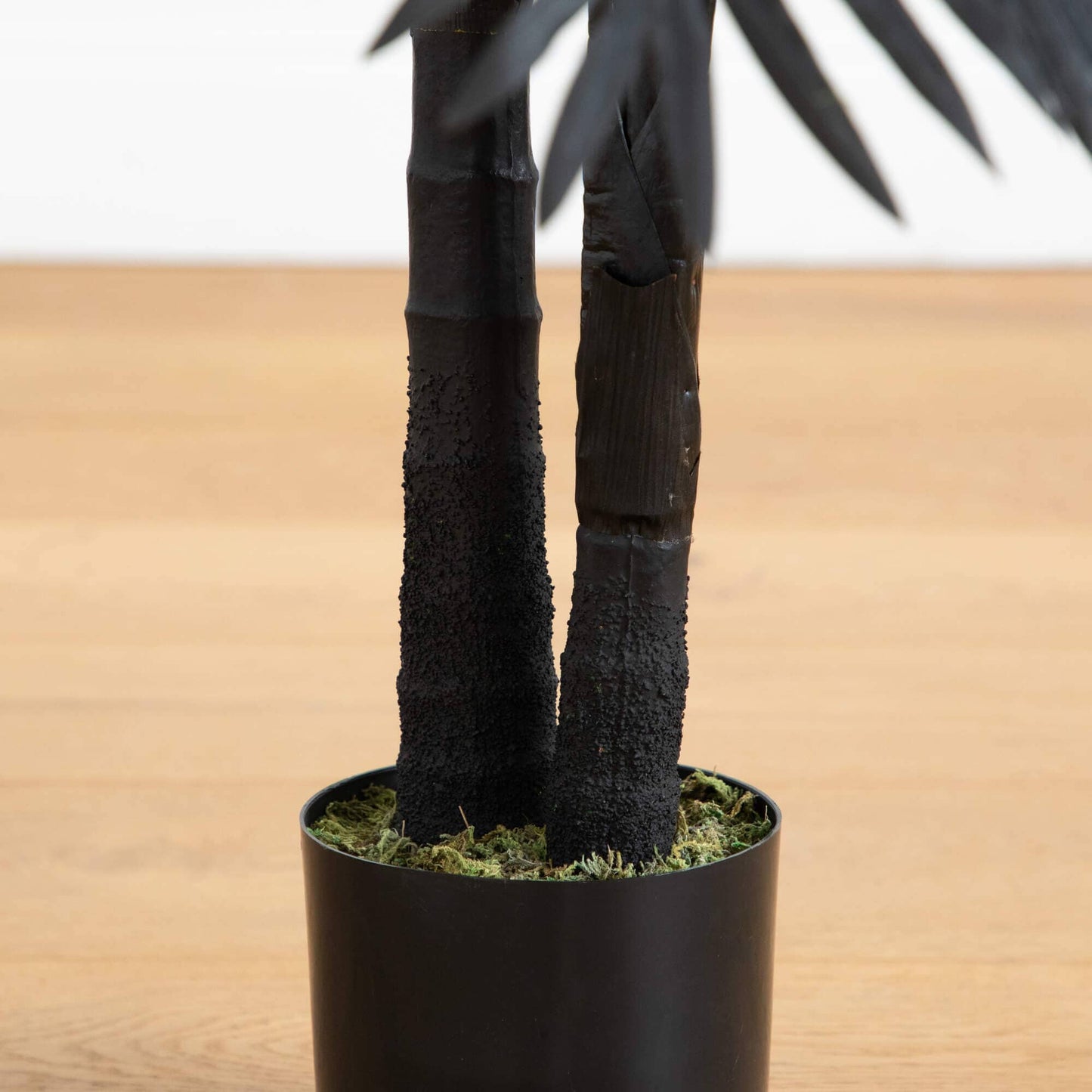 4' artificial Halloween black cane tree with textured trunks in a black pot with moss on Tampa Home & Garden Store