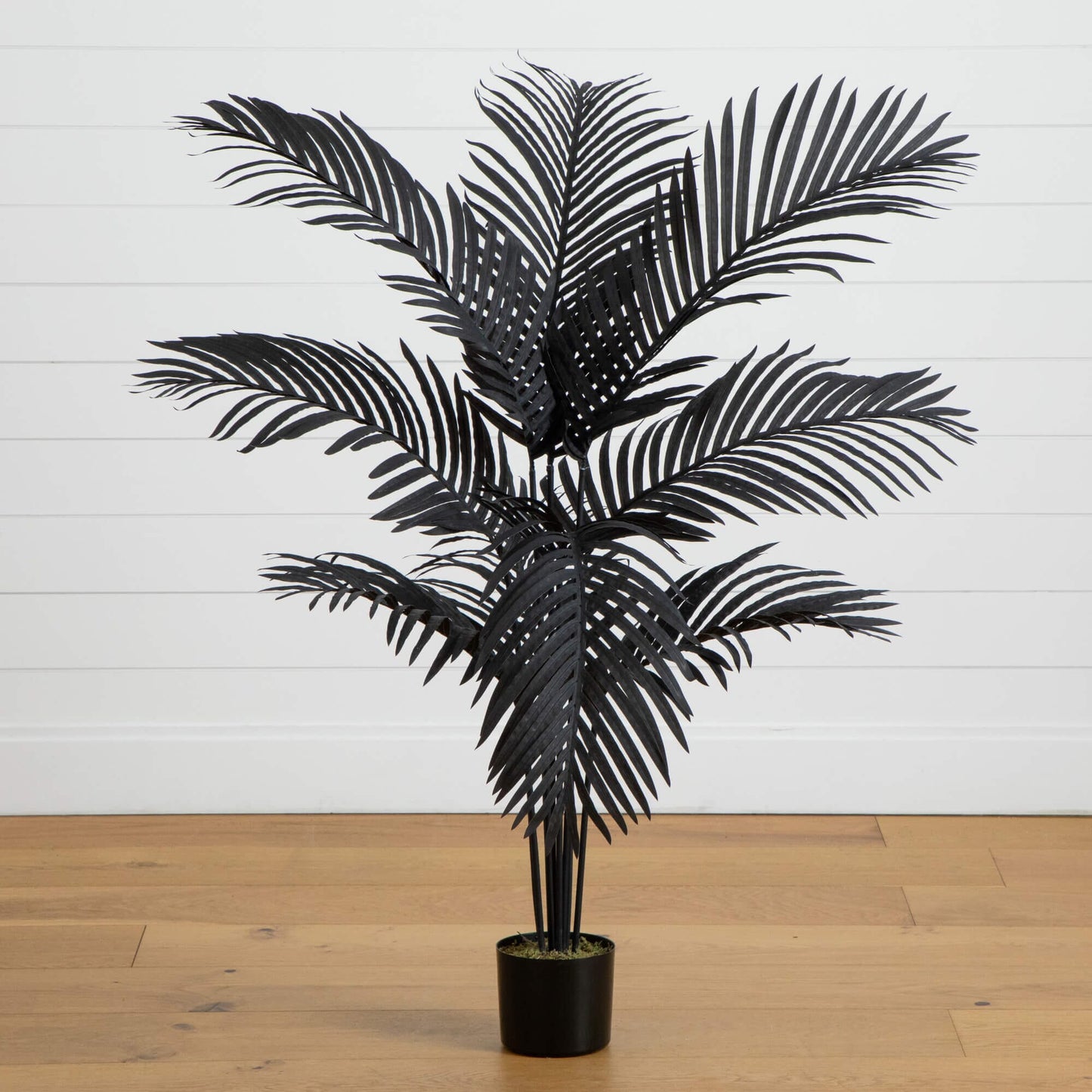 4' Artificial Halloween Black Paradise Palm Tree, black fronds, potted, Nearly Natural on Tampa Home & Garden Store