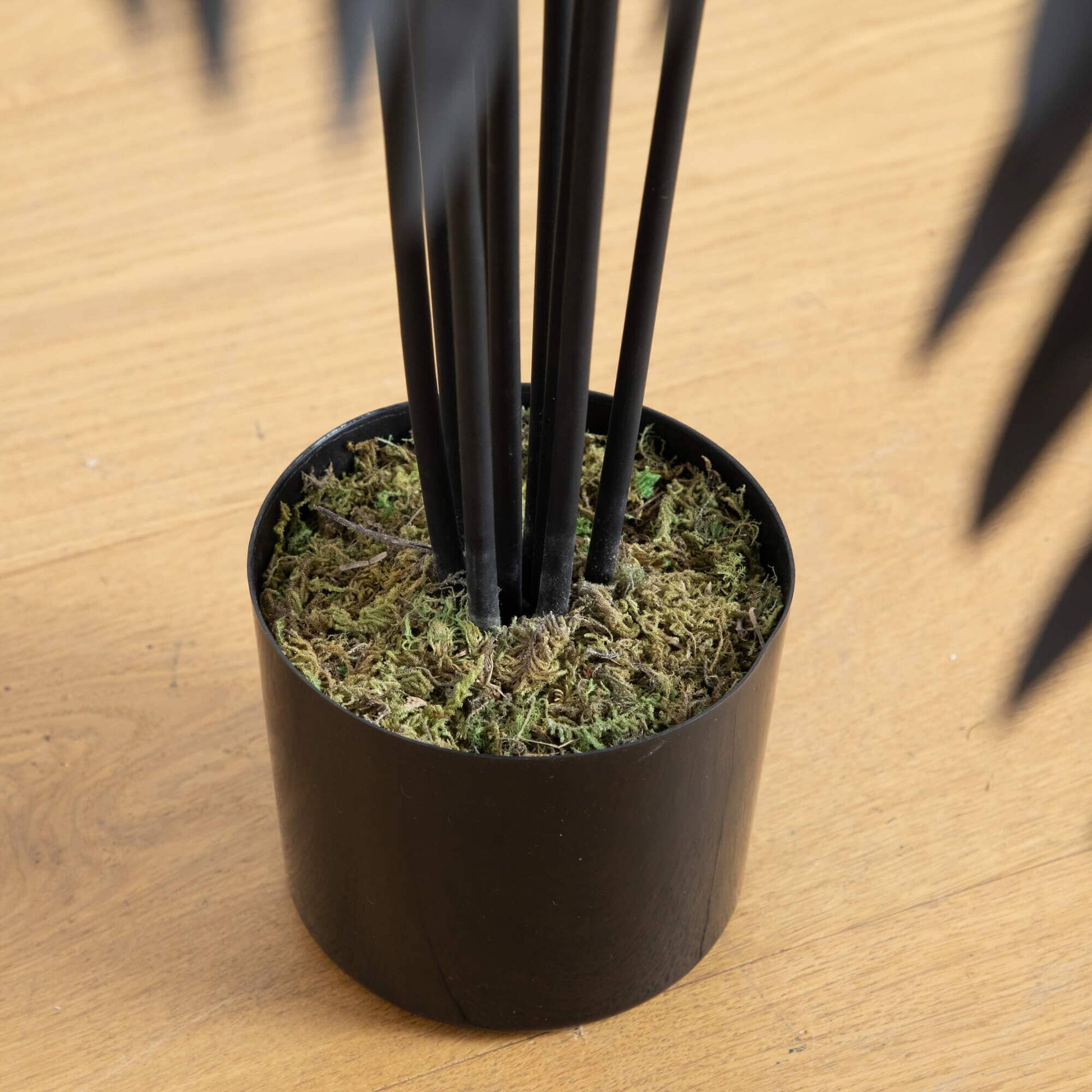 4' artificial Halloween Black Paradise Palm Tree with black trunks in a mossy pot on Tampa Home & Garden Store