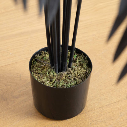 4' artificial Halloween Black Paradise Palm Tree with black trunks in a mossy pot on Tampa Home & Garden Store