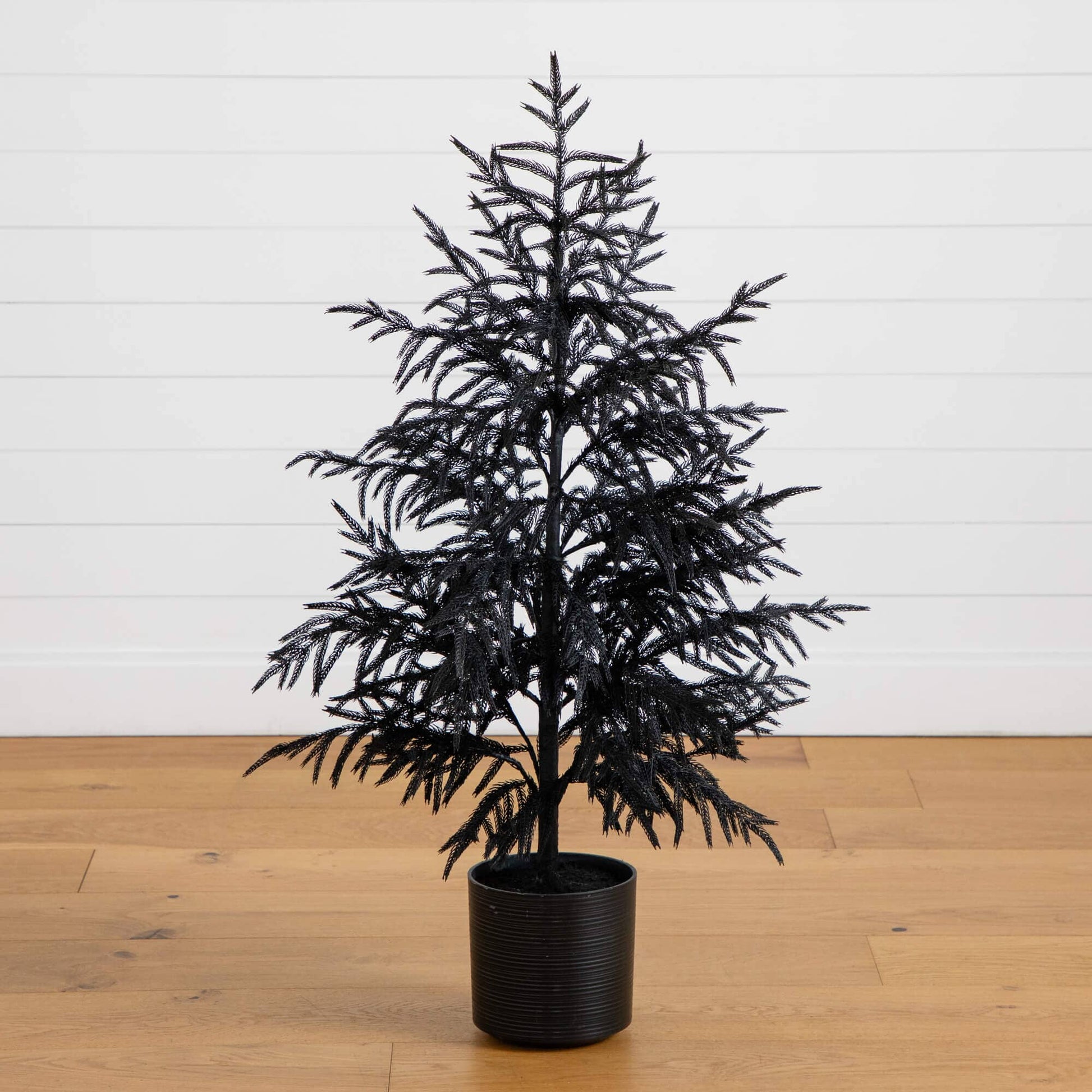 4 ft artificial Halloween Real Touch Black Norfolk Pine Christmas Tree in black ribbed pot on Tampa Home & Garden Store