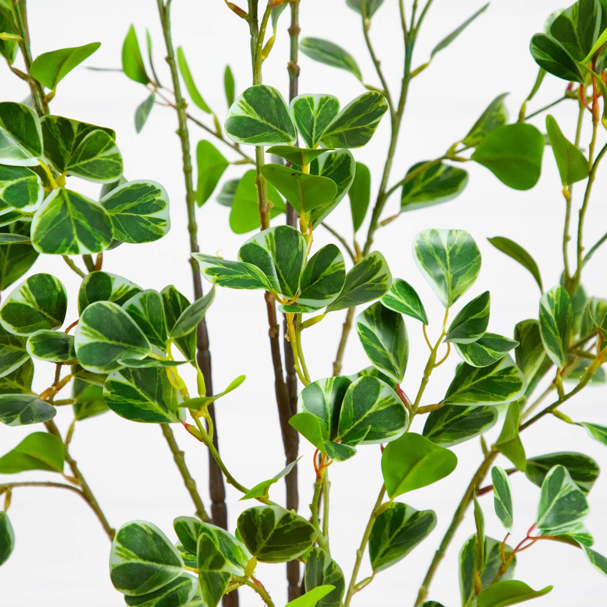 Nearly Natural 4' artificial heart-shaped ficus leaf tree with variegated leaves on Tampa Home & Garden Store