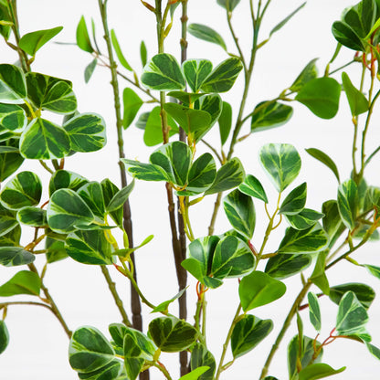 Nearly Natural 4' artificial heart-shaped ficus leaf tree with variegated leaves on Tampa Home & Garden Store