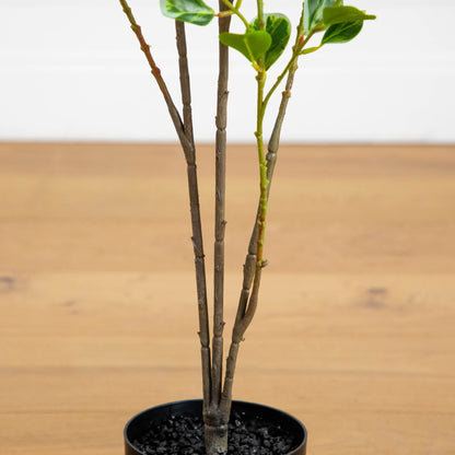 4 ft artificial heart-shaped ficus leaf tree with green leaves on brown trunks in a pot on Tampa Home & Garden Store