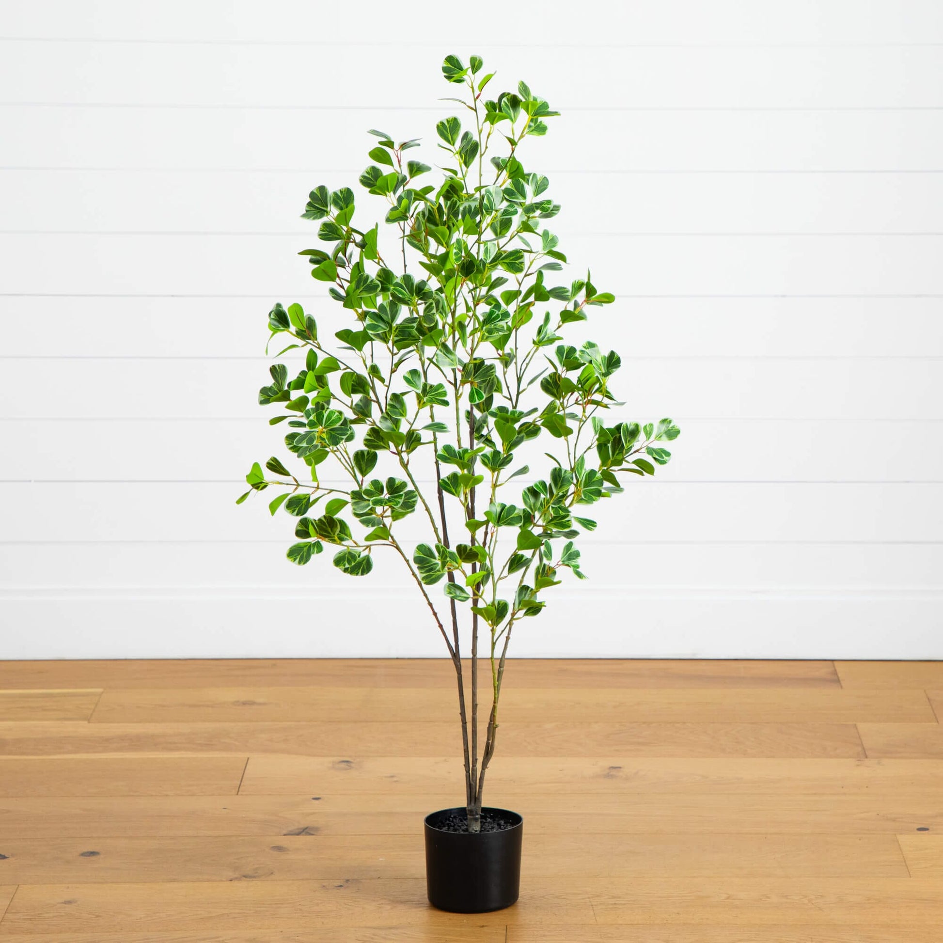 4' artificial heart-shaped ficus leaf tree by Nearly Natural in a black pot on Tampa Home & Garden Store