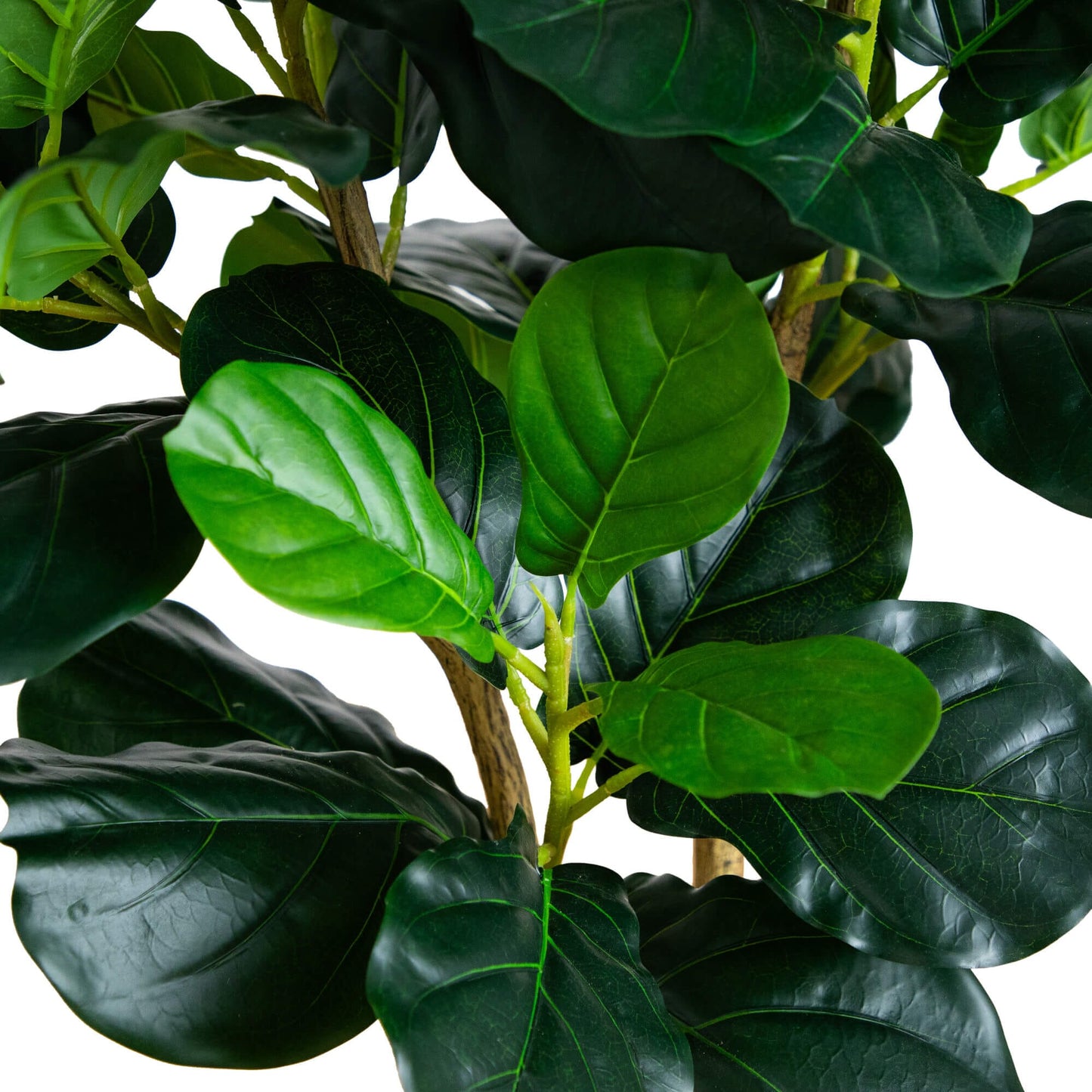 4 ft artificial fiddle leaf tree with glossy green leaves Nearly Natural on Tampa Home & Garden Store