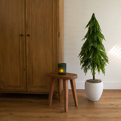 4 ft artificial Norfolk pine tree with real-touch foliage Nearly Natural natural look indoors by cabinet on Tampa Home & Garden Store