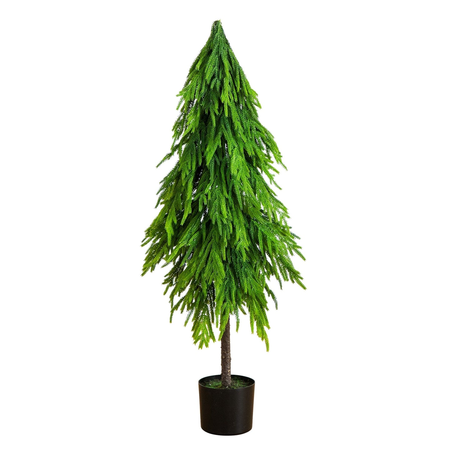 4' Nearly Natural artificial Down Swept Norfolk Pine Tree in a black pot with green foliage on Tampa Home & Garden Store