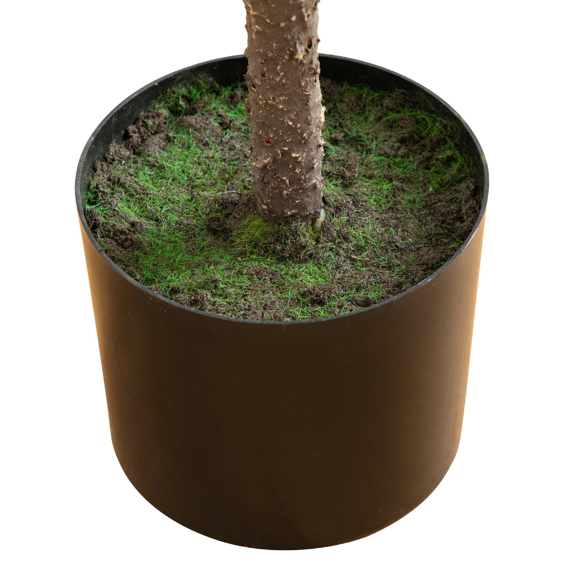 4' artificial Norfolk Pine tree with real-touch foliage in a brown pot with mossy soil on Tampa Home & Garden Store