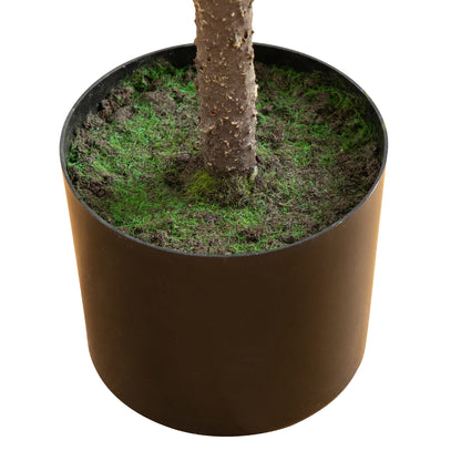 4' artificial Norfolk Pine tree with real-touch foliage in a brown pot with mossy soil on Tampa Home & Garden Store