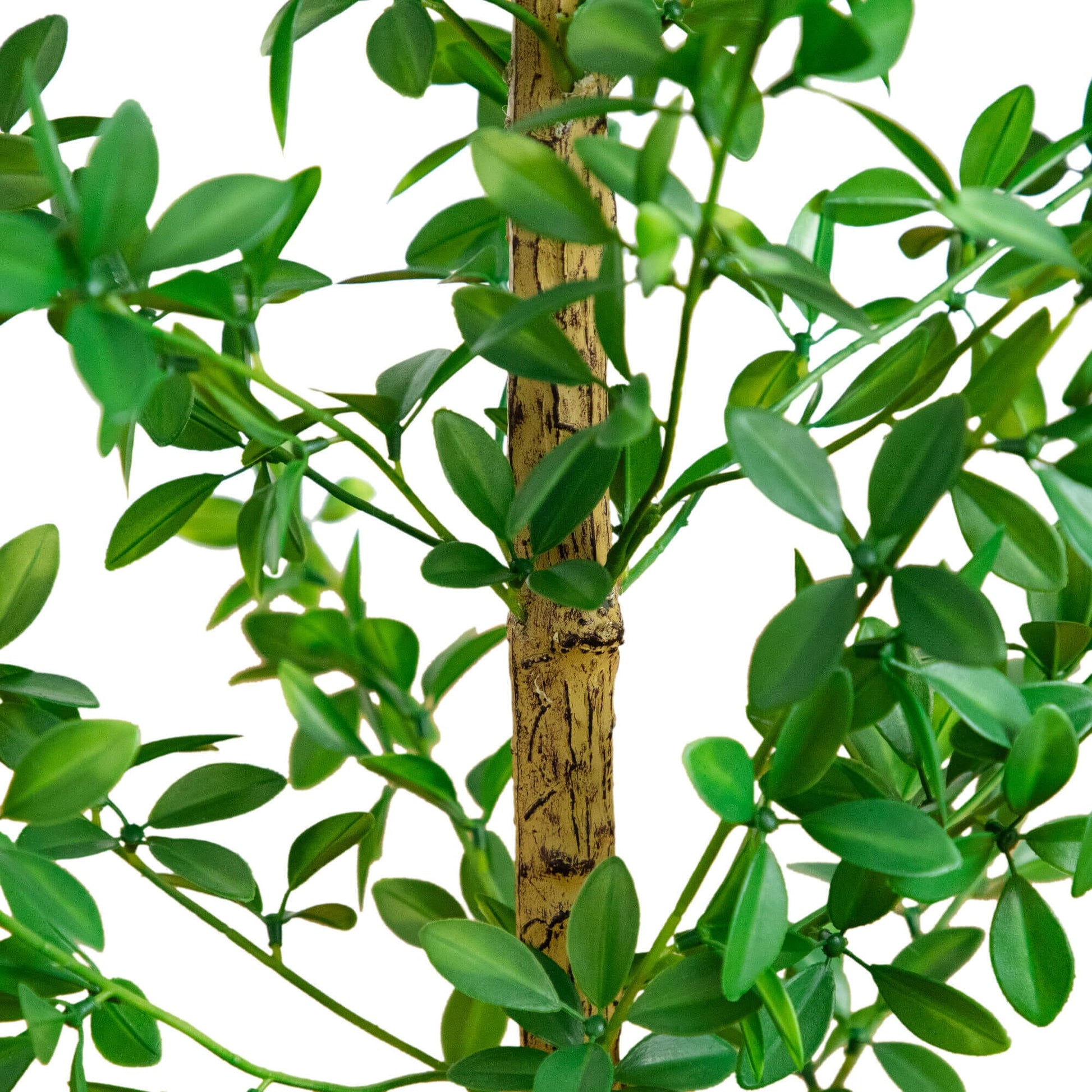 4' Artificial Shady Lady Black Olive Tree by Nearly Natural, lush green leaves and textured trunk on Tampa Home & Garden Store