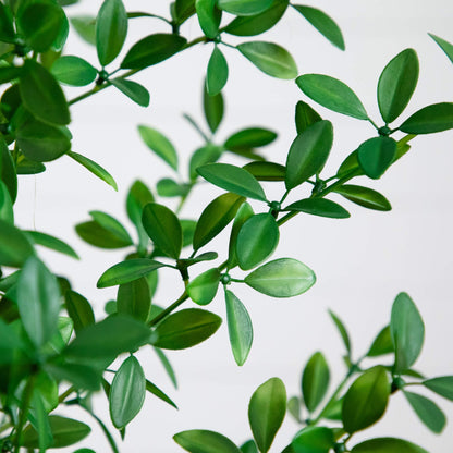 4' Shady Lady Black Olive Tree Nearly Natural artificial tree with glossy green leaves on Tampa Home & Garden Store