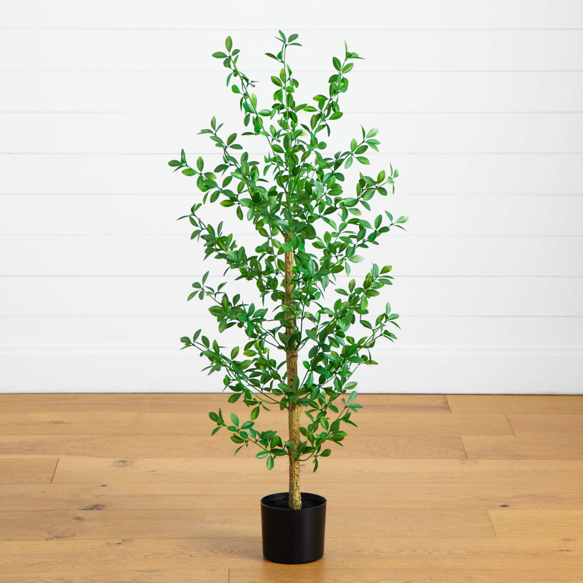 4' artificial Shady Lady Black Olive Tree by Nearly Natural with leaves in a black planter on Tampa Home & Garden Store