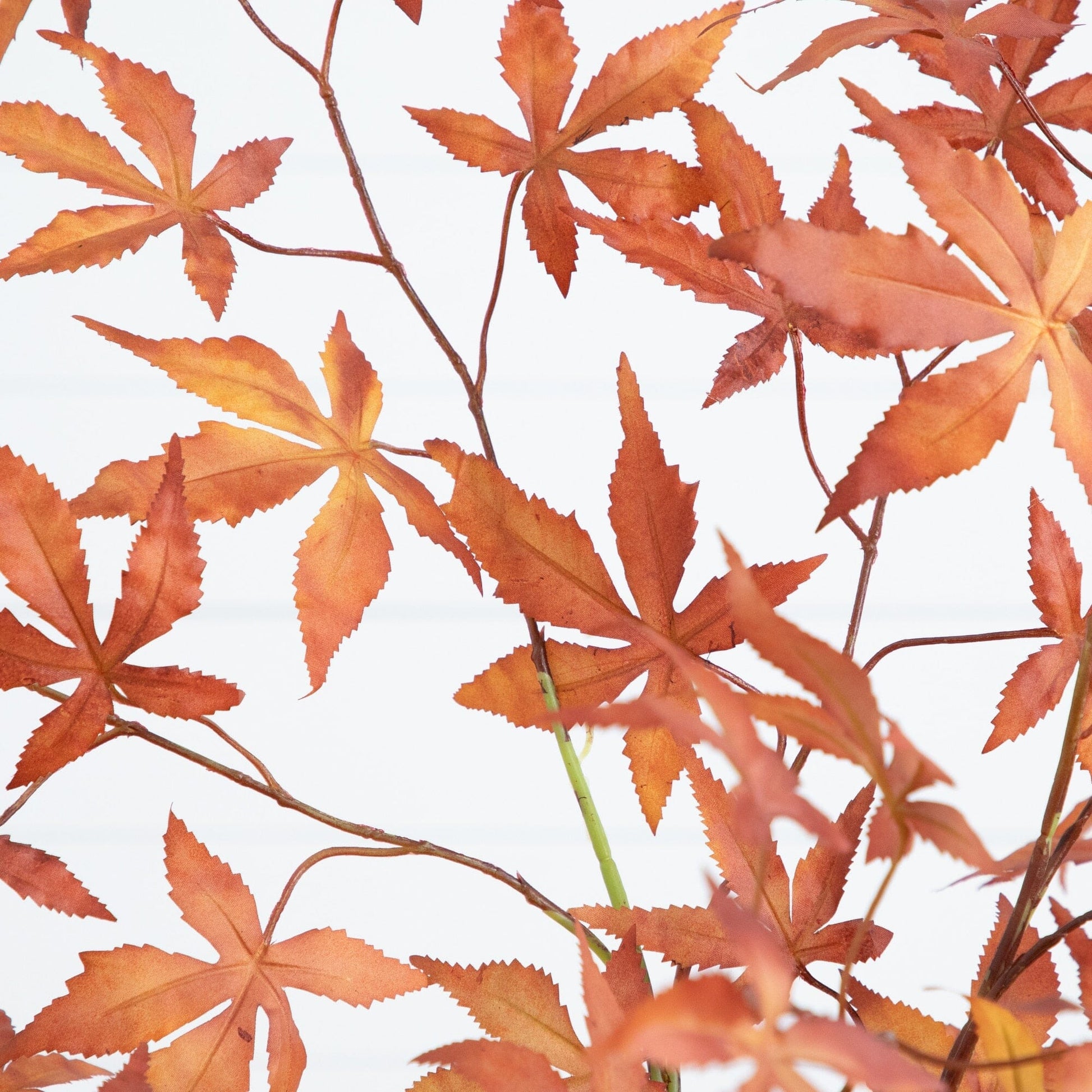 4' Autumn Japanese Maple artificial tree with orange serrated leaves on Tampa Home & Garden Store